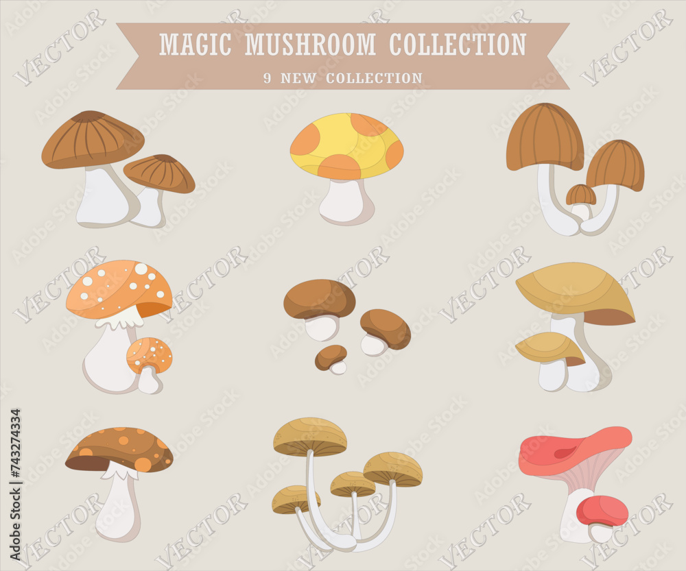 Magic Mushroom Collection Best Element Magic Mushroom Collection Best Element