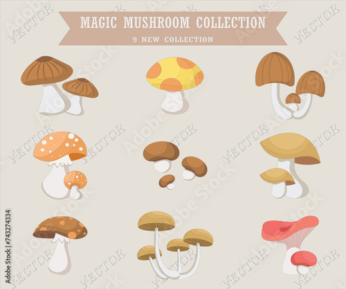 Magic Mushroom Collection Best Element