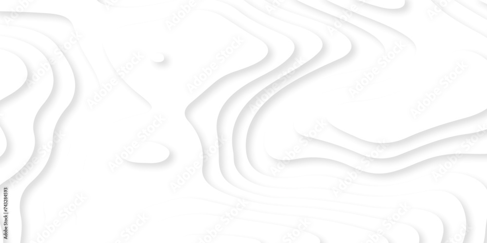 Abstract white paper cut background with lines. Background of the topographic map. White wave paper curved reliefs abstract background. Realistic papercut decoration textured with wavy layers.
Abstract white paper cut background with lines. Background of the topographic map. White wave paper curved reliefs abstract background. Realistic papercut decoration textured with wavy layers.