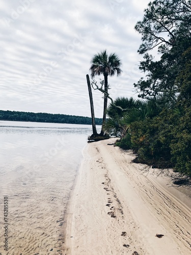 Florida beach scene landscape