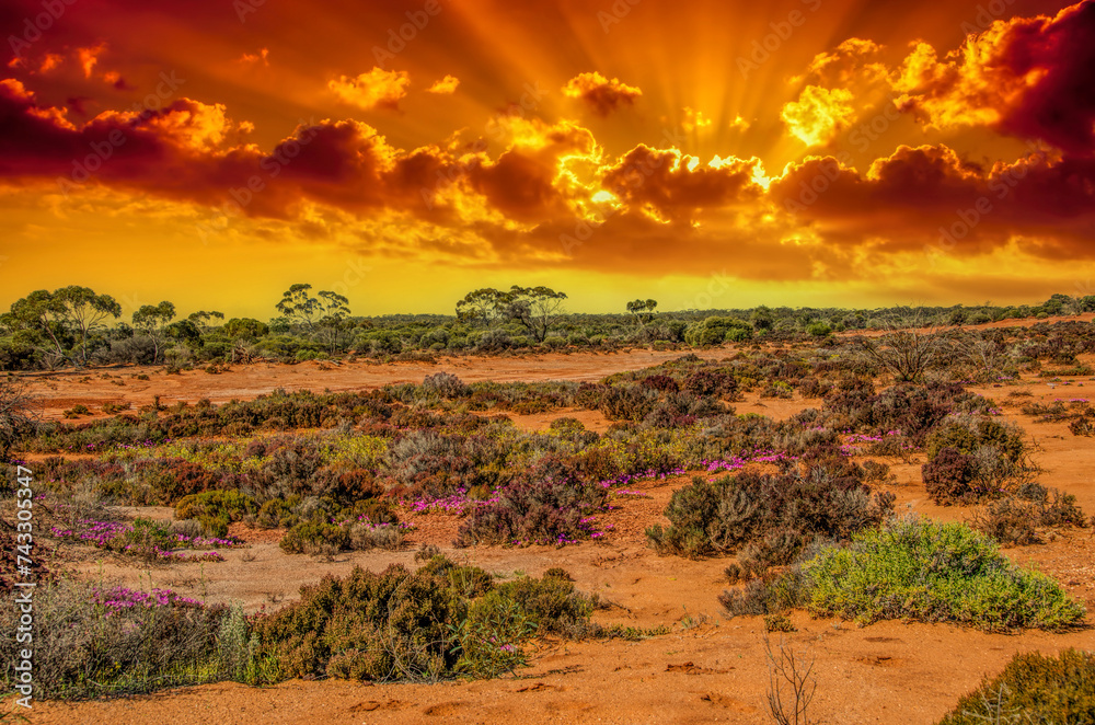Red Desert - Western Australia just Out of Kalgoorlie