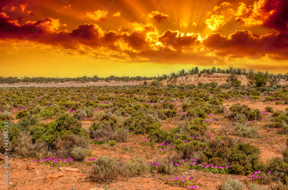Red Desert - Western Australia just Out of Kalgoorlie
