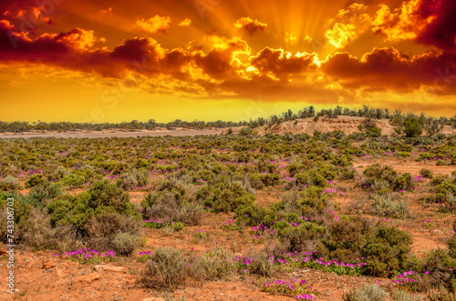 Obraz na płótnie Red Desert - Western Australia just Out of Kalgoorlie w salonie