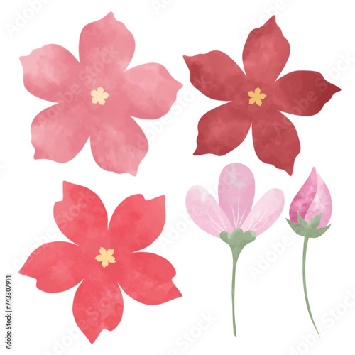 Fototapeta Naklejka Na Ścianę i Meble -  hand drawn watercolor flower floral element pack
