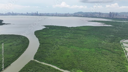 Marshes Nature Reserve wetland Countryside in New Territories Hong Kong Northern Metropolis Development, Drone Aerial Skyview of Fish Pond in Nam Sang Wai San Tin Ngau Tam Mei Mai Po Lok Ma Chau Yuen  photo