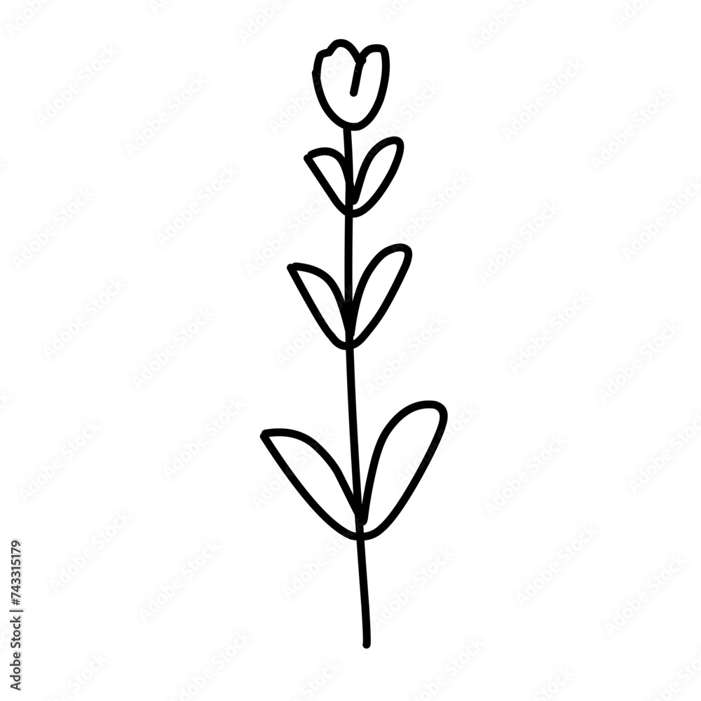 hand drawn spring flowers hand drawn spring flowers