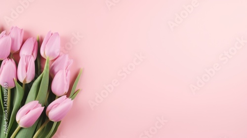 Pink tulip flowers on pink background with copy space