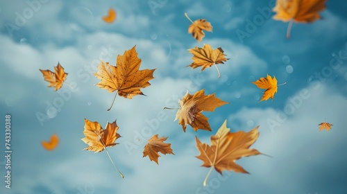 Autumn maple leaves flying in the blue sky background. © RMTH