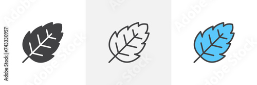 Birch Leaf Isolated Line Icon Style Design. Simple Vector illustration