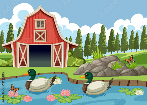 Two ducks float peacefully near a red barn.