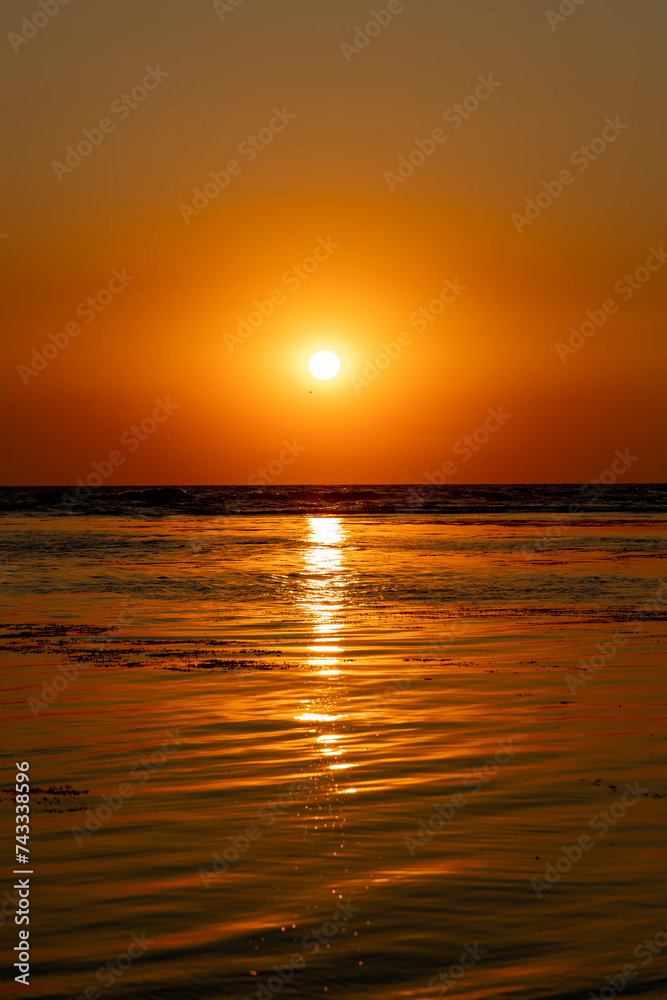 Naklejka premium シラフラ