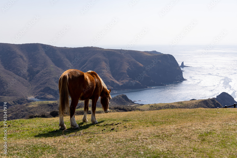 Obraz premium 隠岐