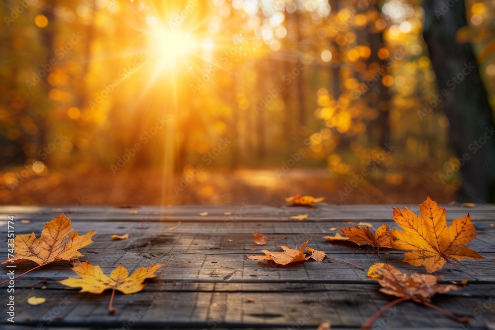 Maple leaves on a wooden surface with a soft-focus forest and golden sunlight in the background.