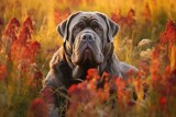 Neapolitan mastiff dog sitting in meadow field surrounded by vibrant wildflowers and grass on sunny day ai generated