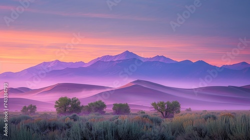 Capture the serene beauty of a desert sunrise, where the early light paints the dunes in vibrant hues