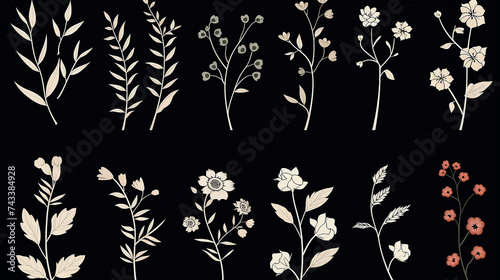 This elegant collection of hand-drawn botanical elements includes various types of leaves, flowers and plants in detailed
