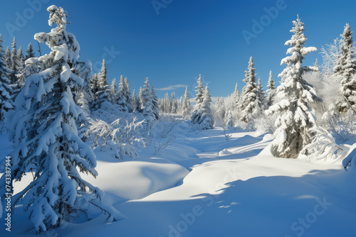 snow-covered landscape with evergreen trees and a clear blue sky.