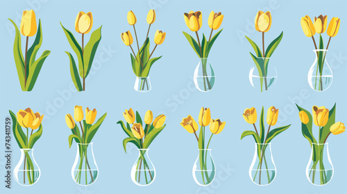 Yellow tulip flower set bouquet. Glass vase with