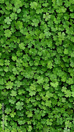 St Patrick's Day most attractive fluorescent color satria wallpaper