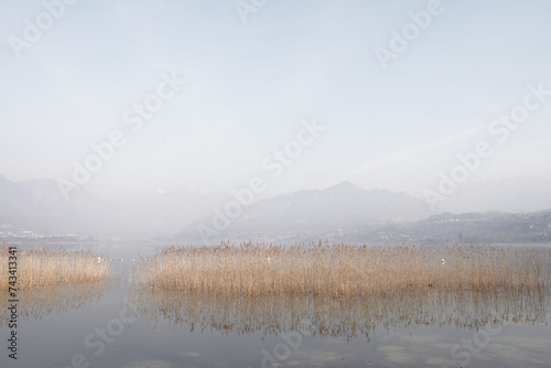 View of a glimpse of Lake Annone from the lakefront path of the Oggiono park. Oggiono, Italy photo