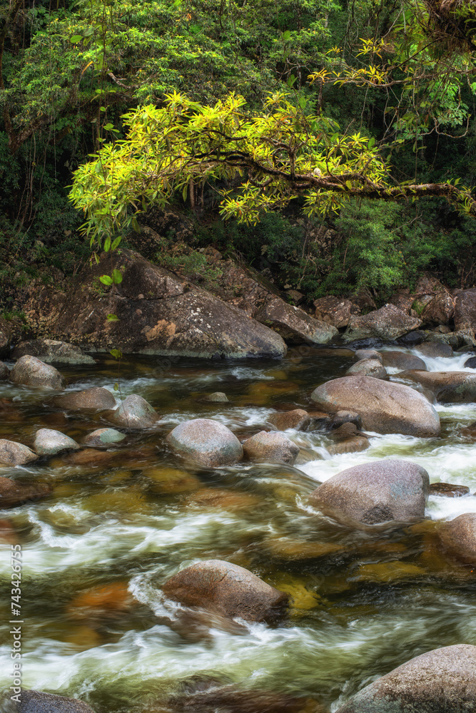 Embark on a scenic bushwalk along Mossman River at Mossman Gorge, QLD. Discover lush rainforest, crystal waters, and serene beauty. Embark on a scenic bushwalk along Mossman River at Mossman Gorge, QLD. Discover lush rainforest, crystal waters, and serene beauty.