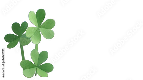 Lucky clover and shamrock isolated on transparent background