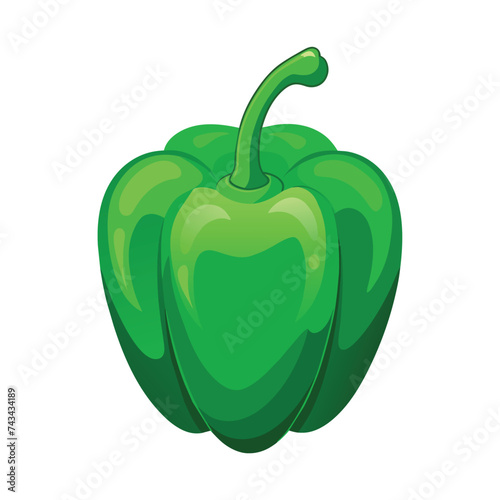 Vector of illustration fresh green bell pepper on white