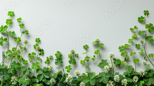 Green clover border with space above
