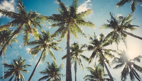 A nostalgic view of palm trees against a blue sky, tropical paradise vintage vibes, relaxation wanderlust, retro charm, Olivia Summers, palm trees against blue sky