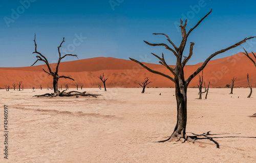 Landscape from Deadvlei, Sossusvlei desert with dead Camelthorn Trees against red dunes and blue sky in Namib-Naukluft National Park, Namibia - Africa