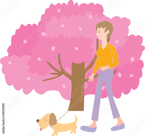 桜と犬を連れて散歩をする女性
