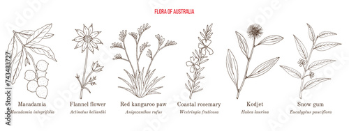 Flora of Australia, collection on native australian plants