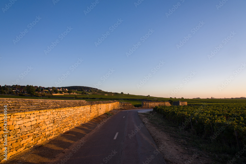 Route viticole. Route dans le vignoble de Bourgogne. Route de Meursault. Balade en Côte-d'Or. Lever de soleils un clos de vignes. Mur en pierres de vignoble. Chemin de viticulture.