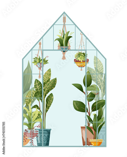 Houseplant and macrame plant growing in hothouse. Greenhouse and macrame plants isolated on white background. Cartoon flat illustration.