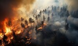 A Blaze in the Wilderness: A Fiery Inferno Engulfs the Forest
