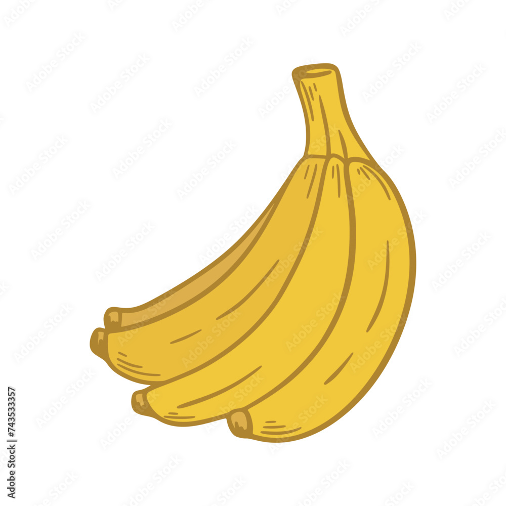 Bunch of ripe yellow bananas hand drawn clip art. Tropical fruits isolated on white background. Healthy organic food, vector graphics