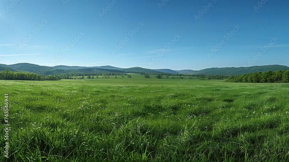 Green grass on blue clear sky, spring nature