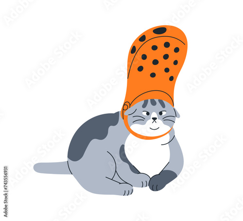 Cute funny cat. Comic feline animal with shoe on head. Fool goofy mischievous kitty. Amusing adorable confused pet. Fun, humor flat graphic vector illustration isolated on white background