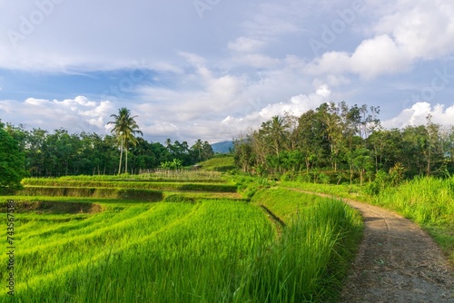 beautiful morning view from Indonesia of mountains and tropical forest