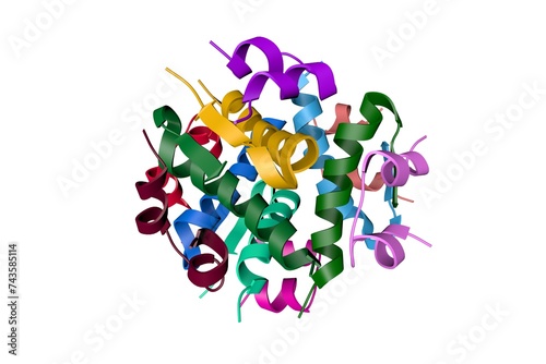 Fototapeta Naklejka Na Ścianę i Meble -  Insulin, monoclinic crystal form. Ribbons diagram with differently colored protein chains based on protein data bank entry 1znj. Scientific background. 3d illustration