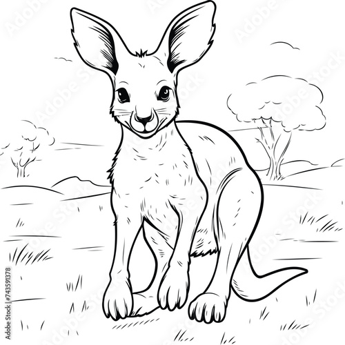 Kangaroo in the wild. sketch vector illustration for your design