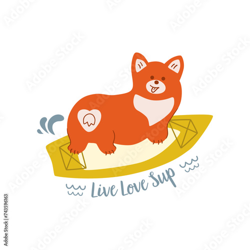 Sup board dog. Vector paddle board with cute corgi dog illustration. Live love sup text