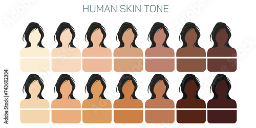 Human skin color ranges from the darkest brown to the lightest hues vector illustration. Types of human skin tones caused by chromophores, carotenoids, hemoglobin, melanin and oxyhemoglobin. photo