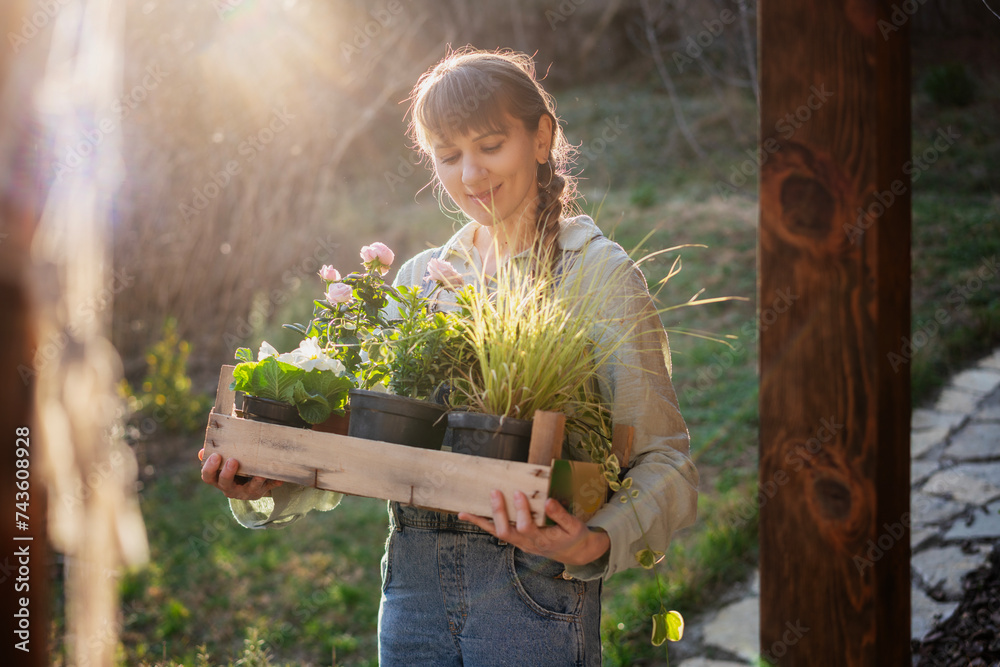 Young happy woman with a box of plants and flowers for seedlings in the garden at sunset. Flower seedlings for the garden, floriculture