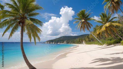 Beautiful beach. View of nice tropical beach with palms around. Holiday and vacation concept. Tropical beach. © Zulfi_Art