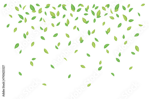 Flying green tea leaves. Vector illustration for cover, banner, poster, card, web and packaging.