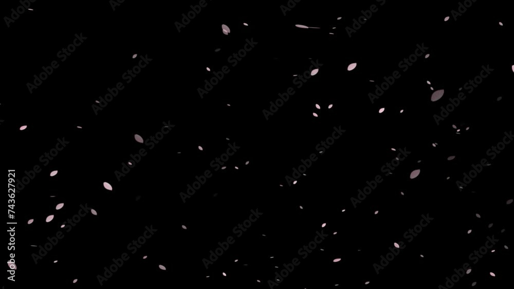 桜の花びらが舞い散る背景動画 桜の花びらが舞い散る背景動画