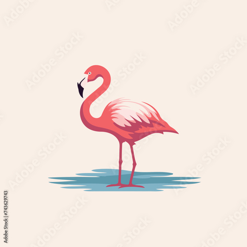 Flamingo vector illustration. Pink flamingo icon isolated on white background © Muhammad
