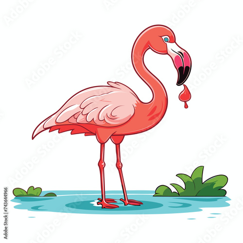 Flamingo vector illustration isolated on white background. Cartoon flamingo