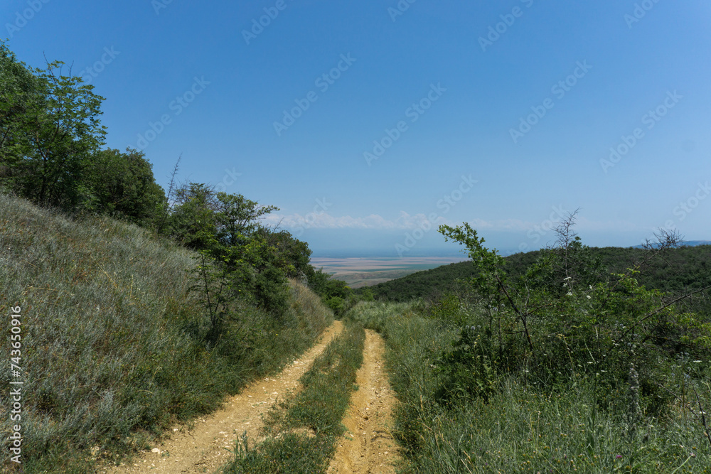 View of the Alazani Valley from a high mountain. Rocks and trees around. Earthen dirt road. Agrarian fields are visible. Clear blue sky and clouds over the Caucasus ridge.
